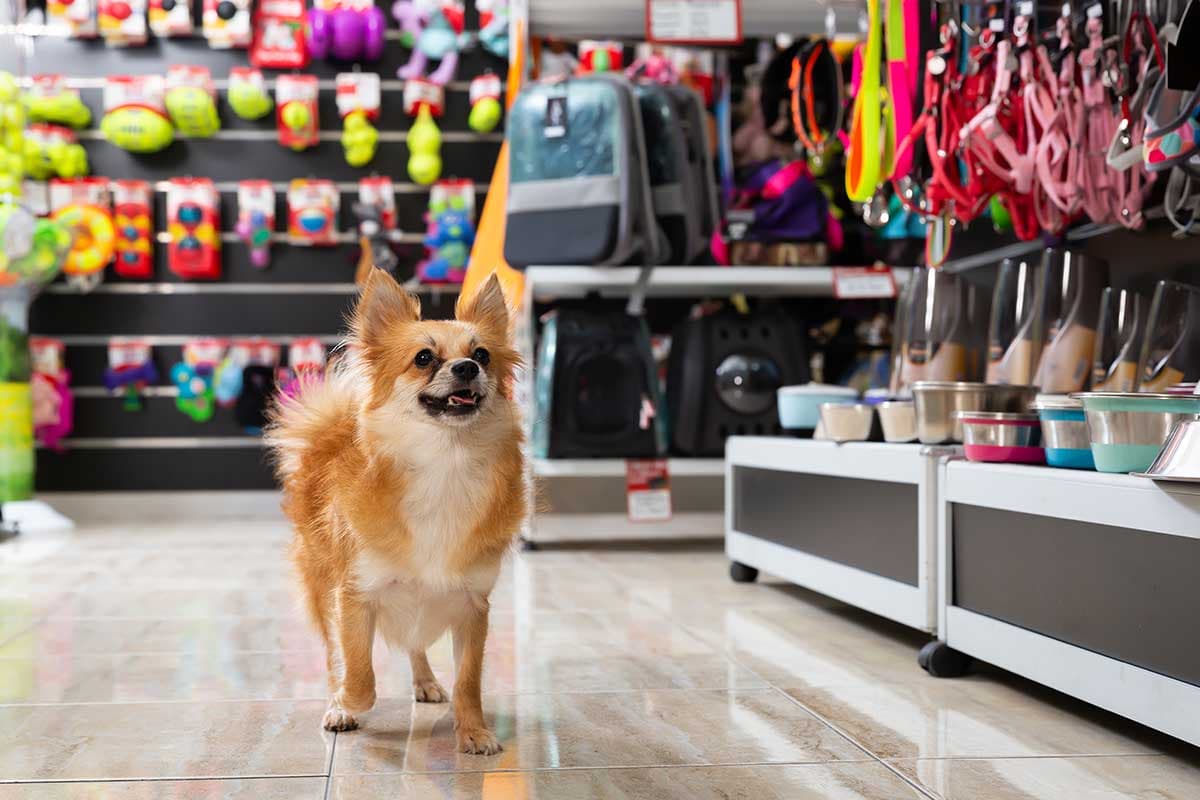 Find the Best Pet Stores in Annapolis, Maryland