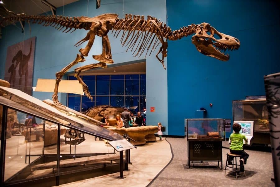 Maryland Science Center: Where Exploration and Science Sparks