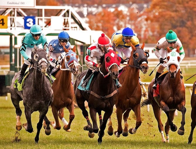 Laurel Park Race Track Maryland: Best Horse Racing Venue in Maryland