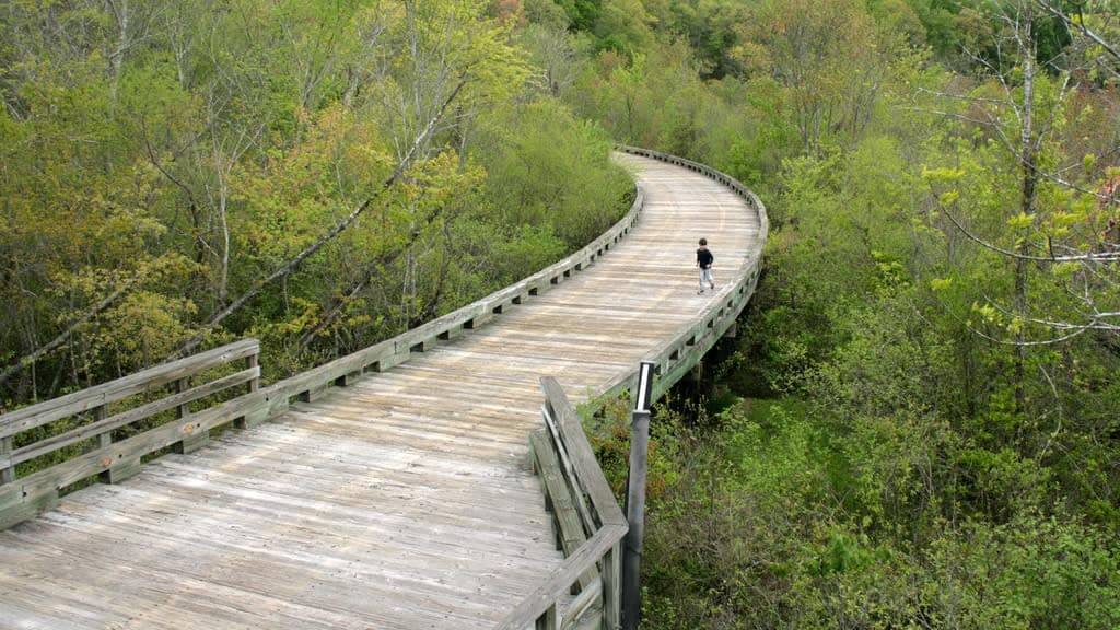 Jug Bay Wetlands Sanctuary Maryland: A Haven for Wildlife and Wonder