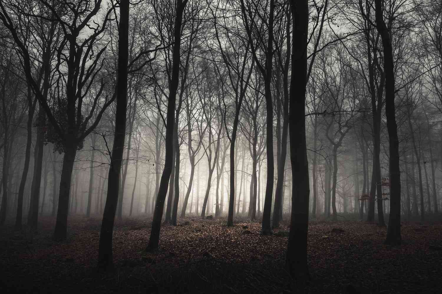 Haunted Campground In Maryland