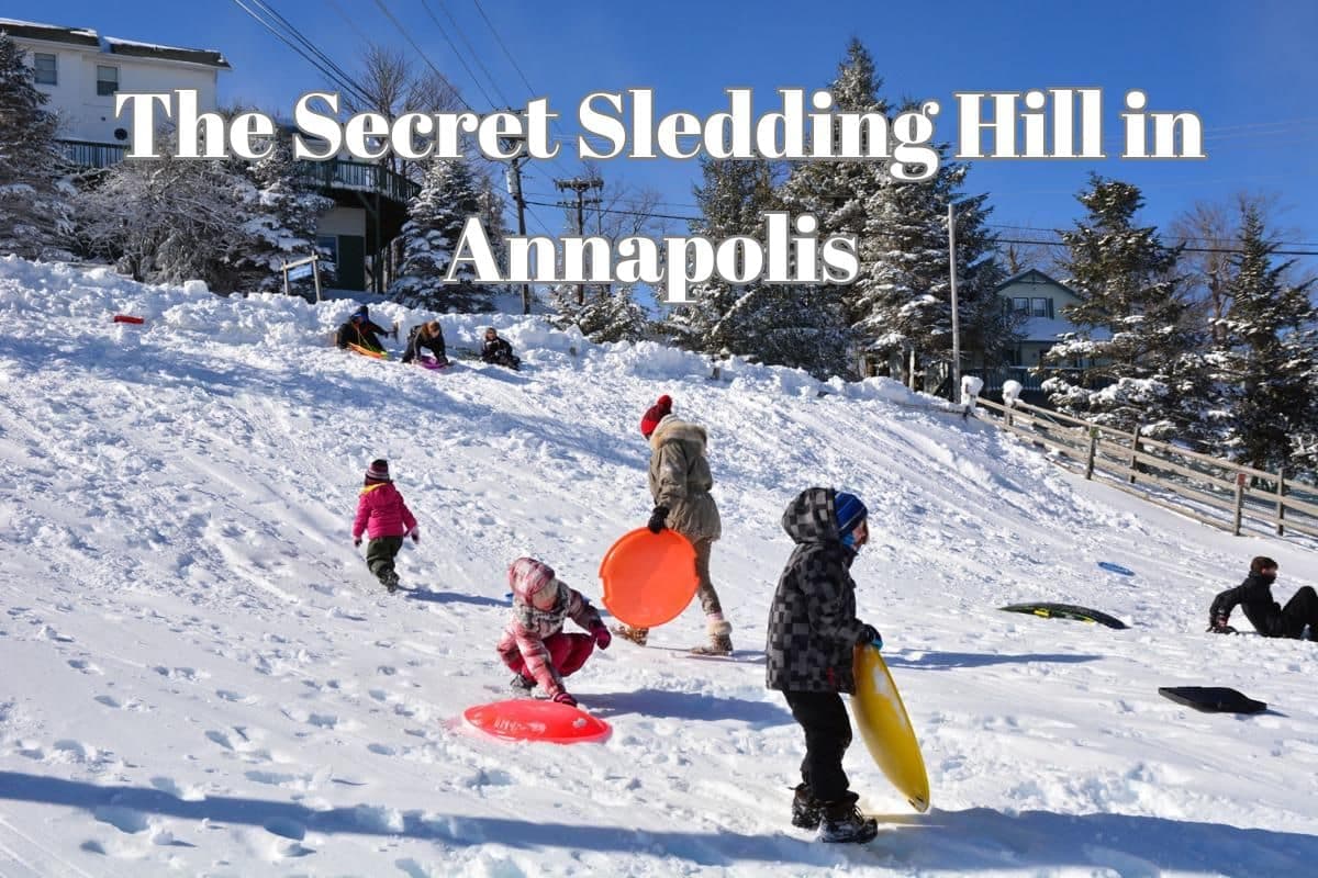 The Secret Sledding Hills in Annapolis Only Locals Know About
