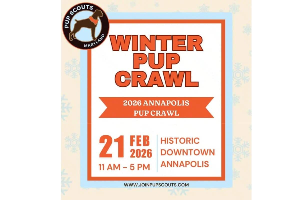 Paw-ty Time! Winter Pup Crawl Annapolis – The Ultimate Dog-Friendly Event