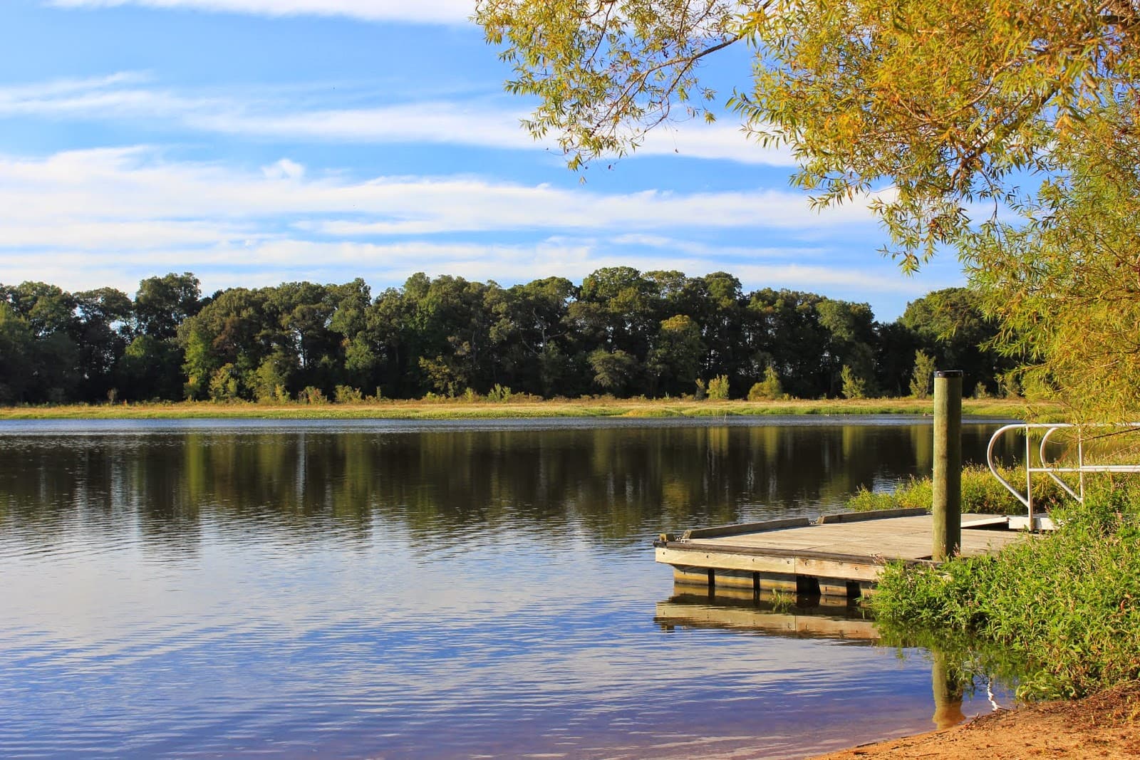 Tuckahoe State Park Maryland: A Complete Guide and Things to do
