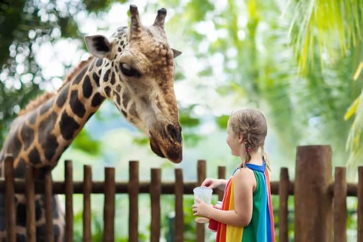 Meet the Wild Side of Maryland: Plumpton Park Zoo’s Must-See Animals