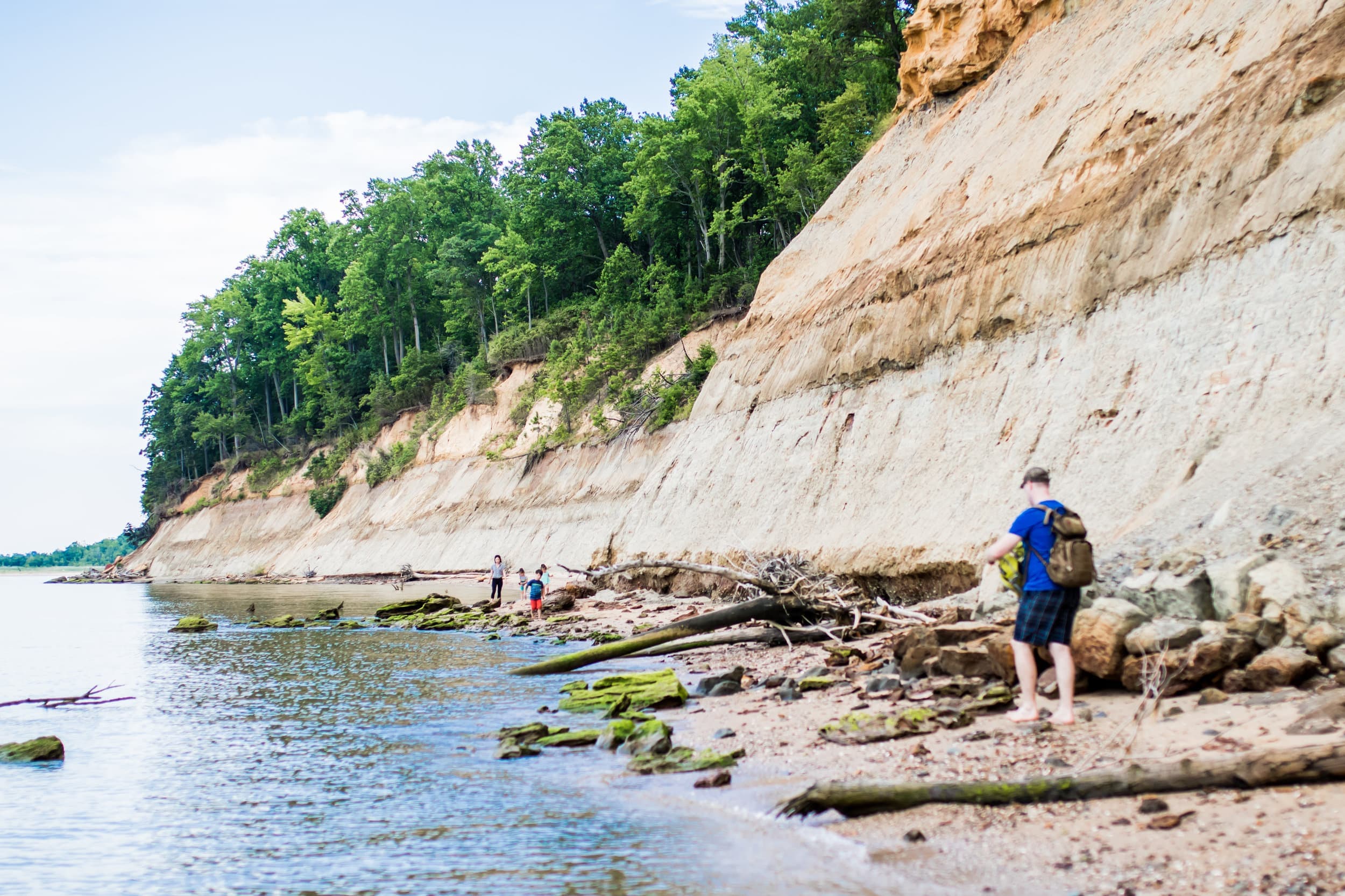 Calvert Cliffs State Park Maryland