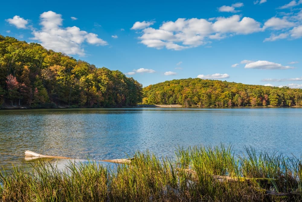 Herrington Manor State Park MD