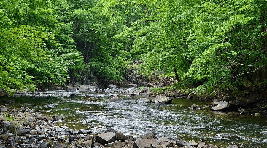 Gunpowder Falls State Park Maryland