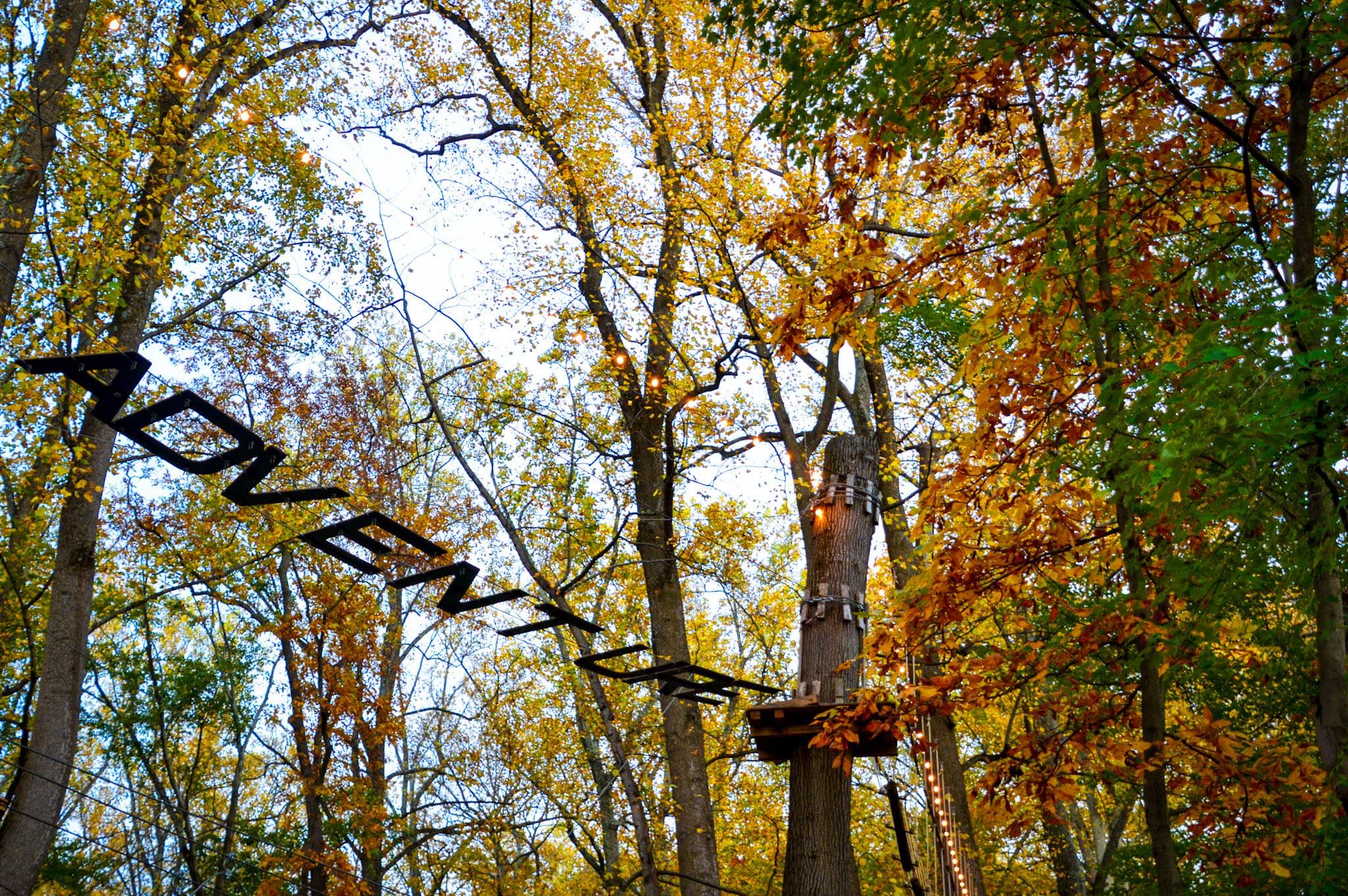 Adventure Park Sandy Spring Maryland: A Thrilling Outdoor Experience for All Ages