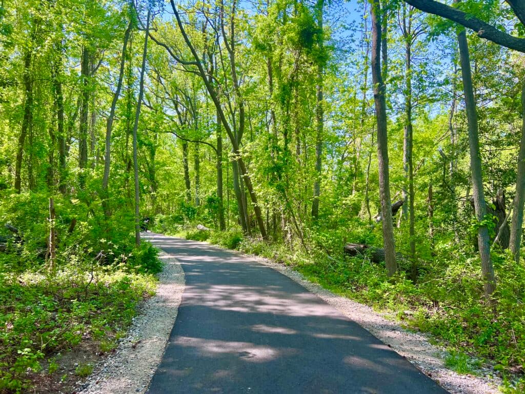 Downs Park: Pasadena’s Chesapeake Bay Oasis