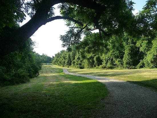 Explore Elk Neck State Park, MD: Lighthouse, Hiking & Bay Adventures