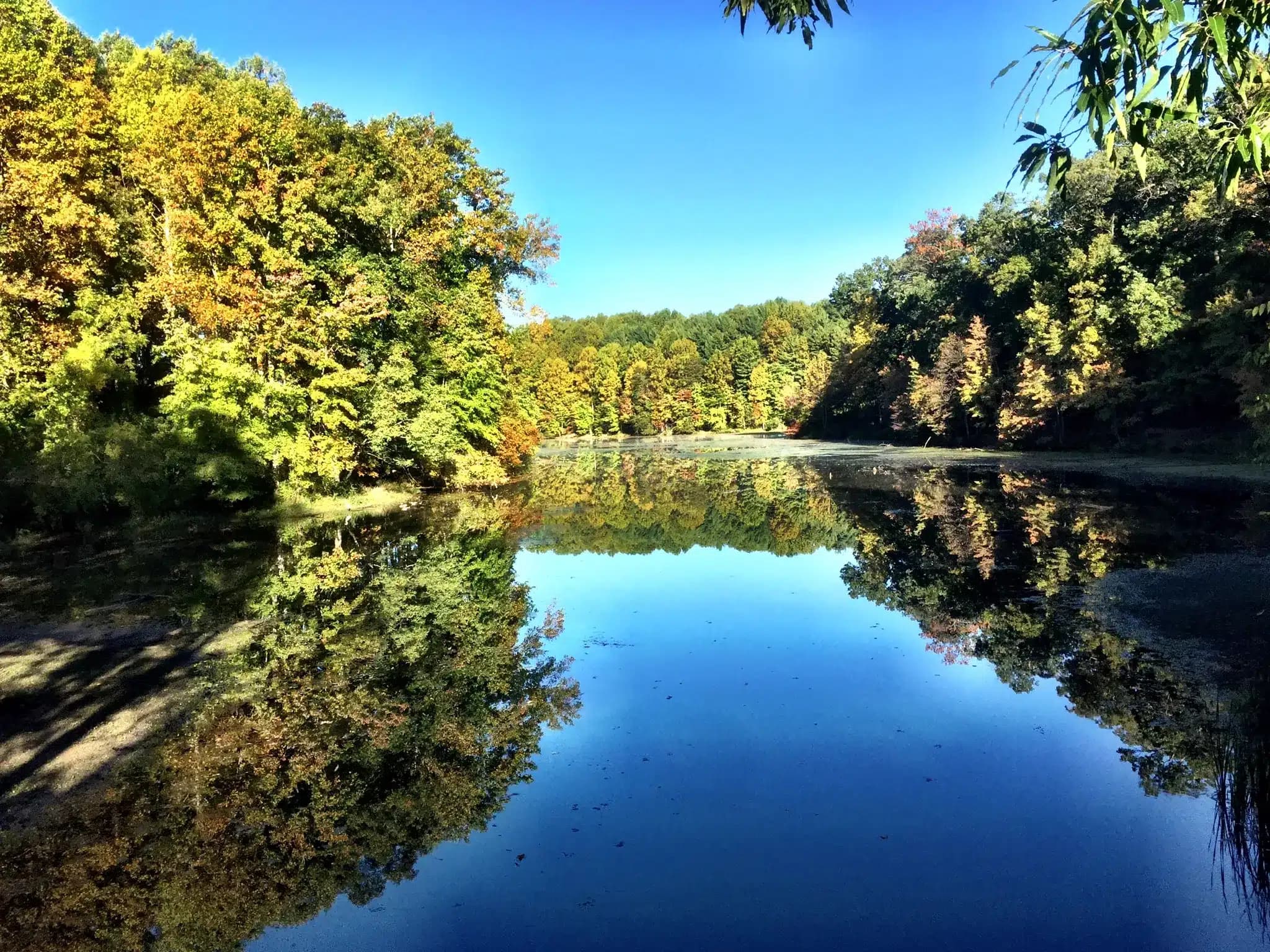 Seneca Creek State Park Maryland: Your Outdoor Escape