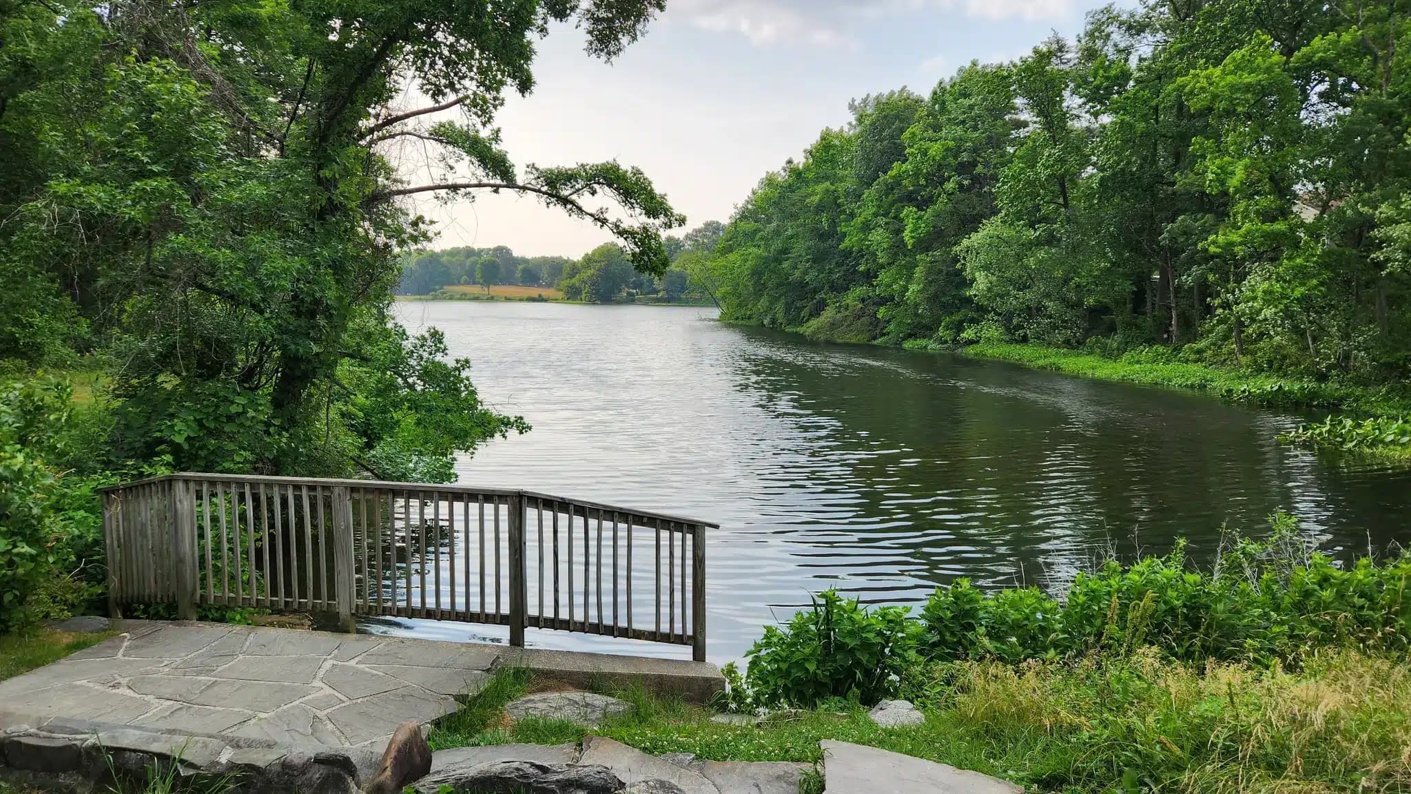 Buddy Attick Park: A Guide to Greenbelt’s Natural Gem