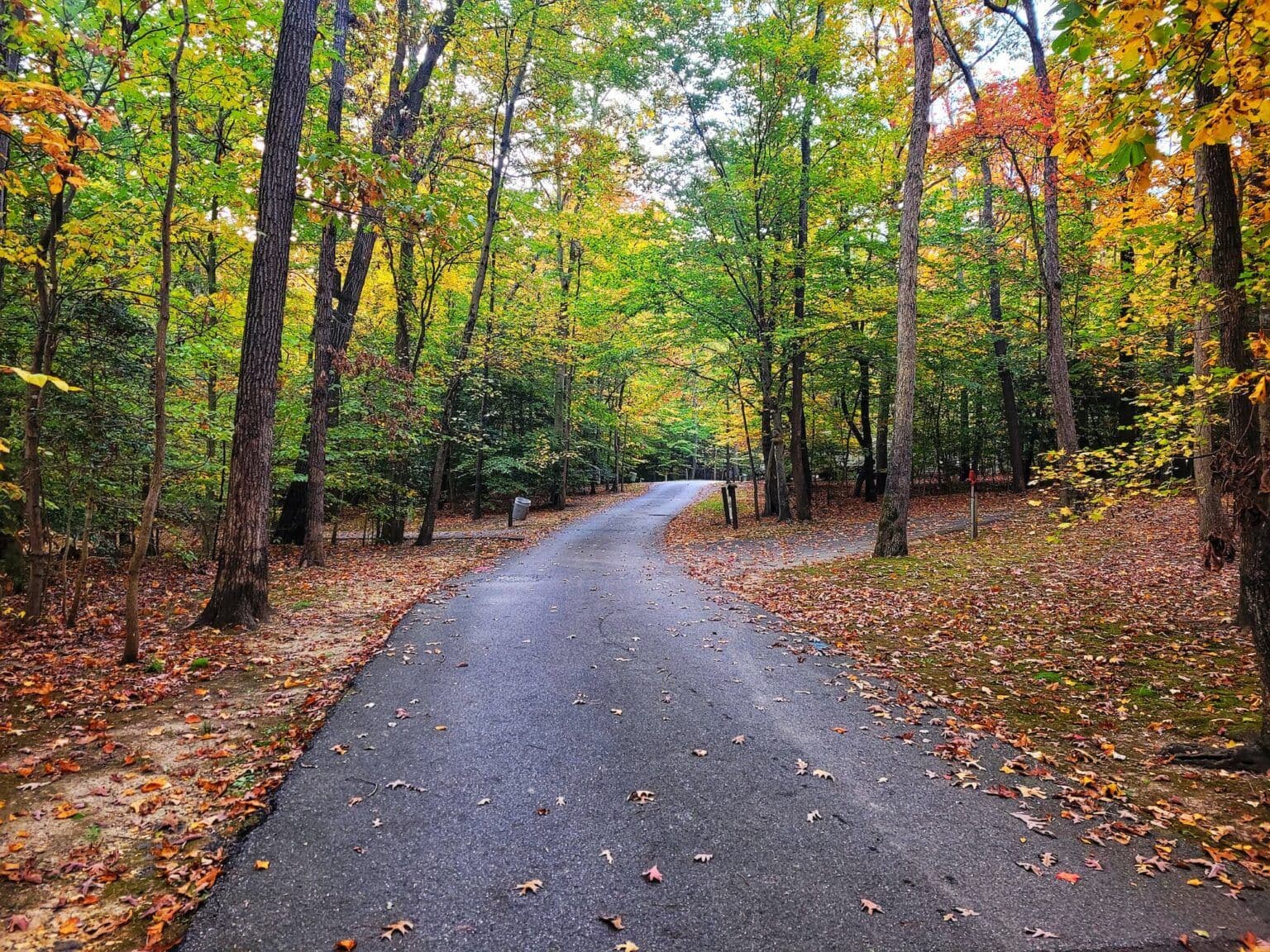Cosca Regional Park MD: A Complete Guide to Nature, Camping, and Fun