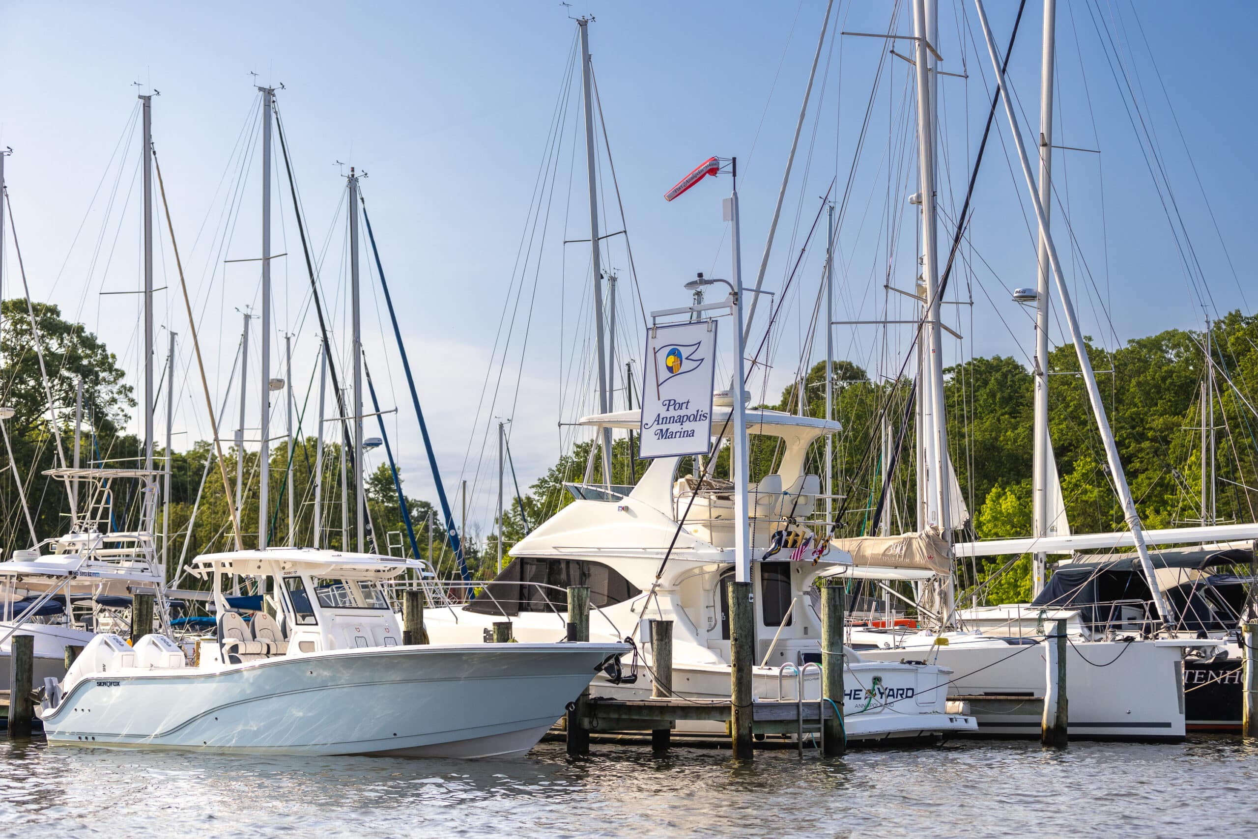 Does Port Annapolis Marina Actually Live Up to the “Resort” Hype?